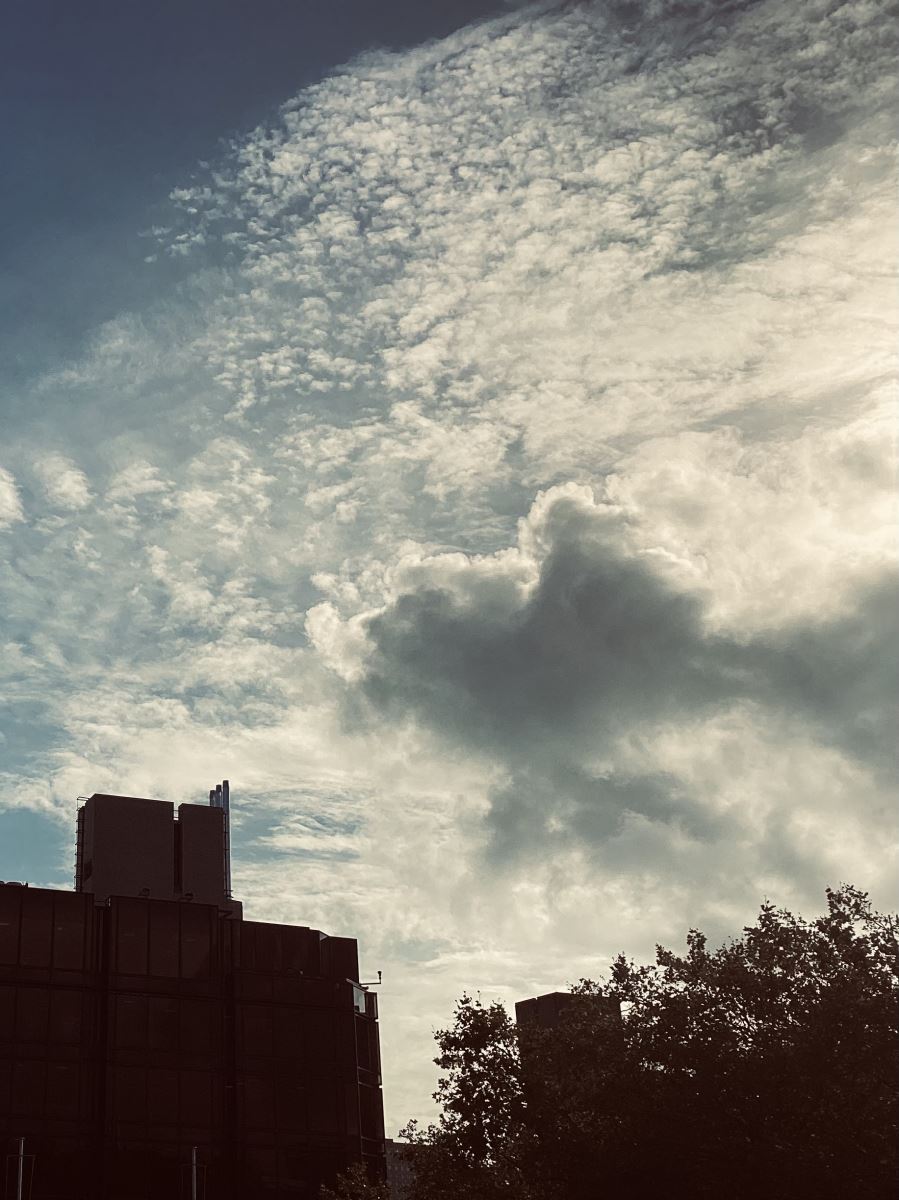 Photo of the sky above Portsmouth central library 