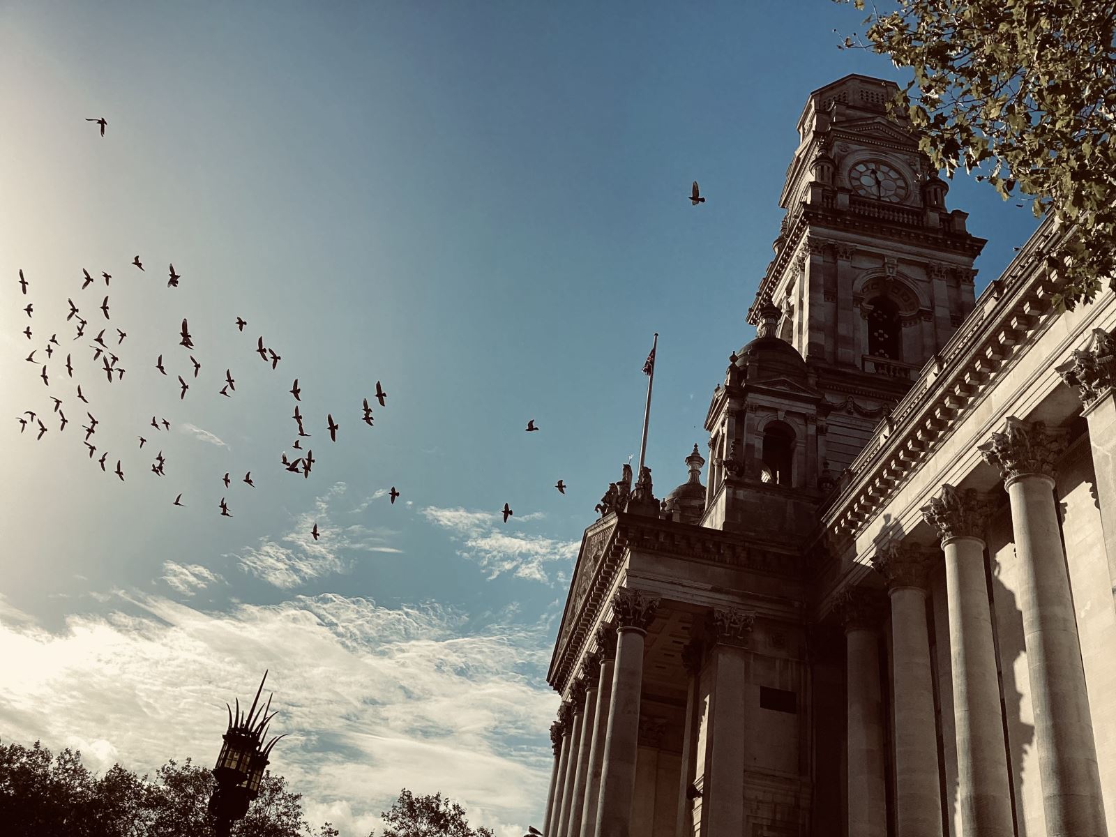 photo of flock of birds flying and Portsmouth guildhall