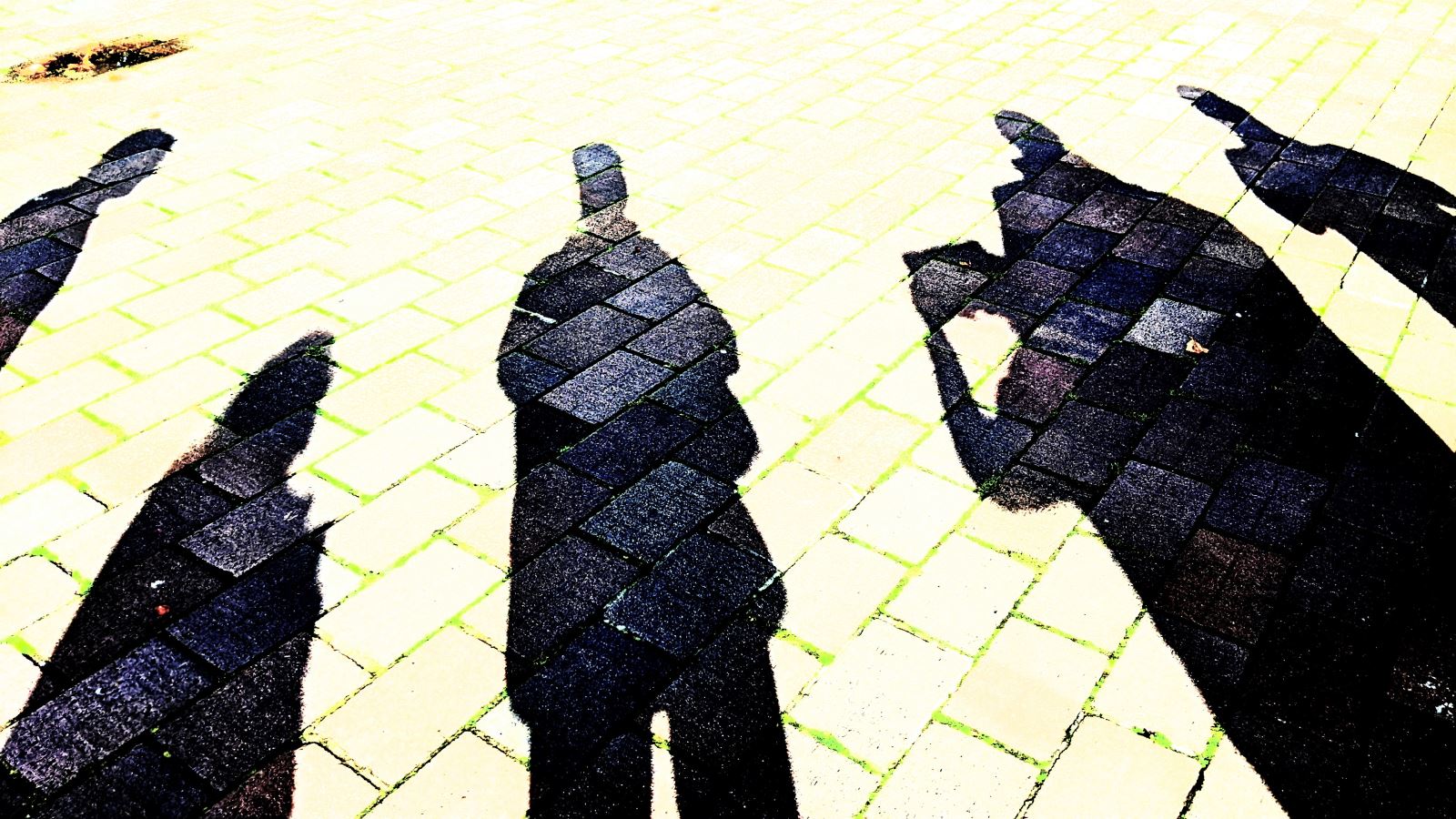 photo of a group of people's shadows